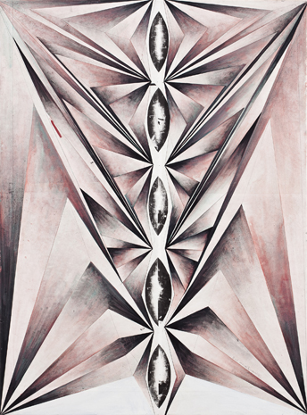 tillman-kaiser-spinne-2010-53-x-39-honor-fraser